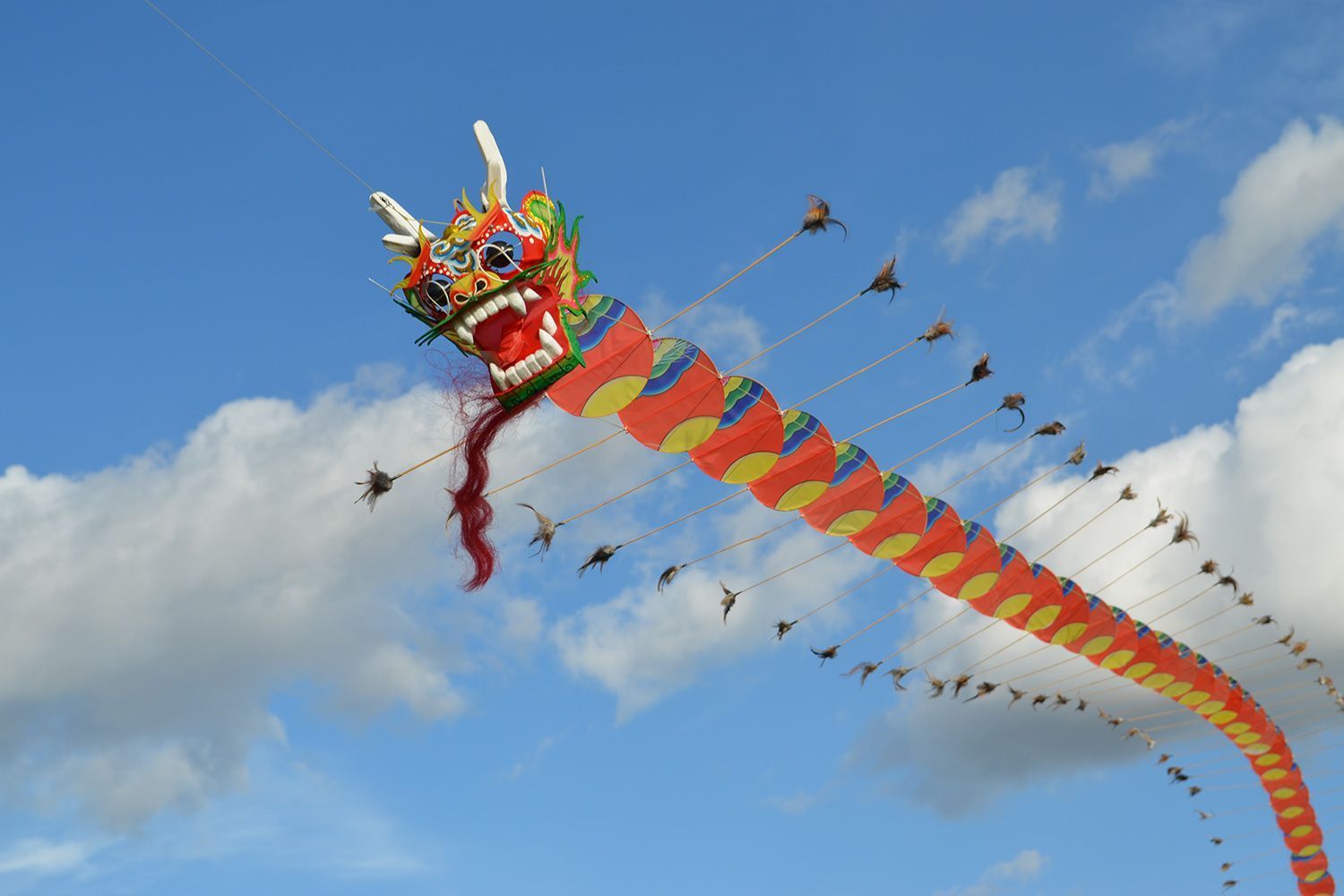 Китайский Дракон 30 метров изображение 2
