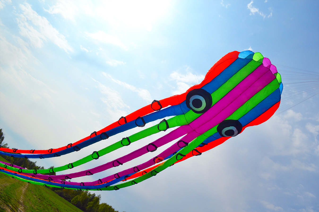 Огромный Цветной Кракен, воздушный змей 23 метра [ZB696]
