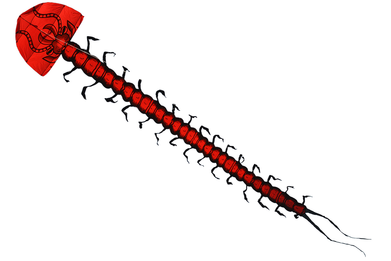Гигантская Сколопендра, воздушный змей 15 метров [ZB508]
