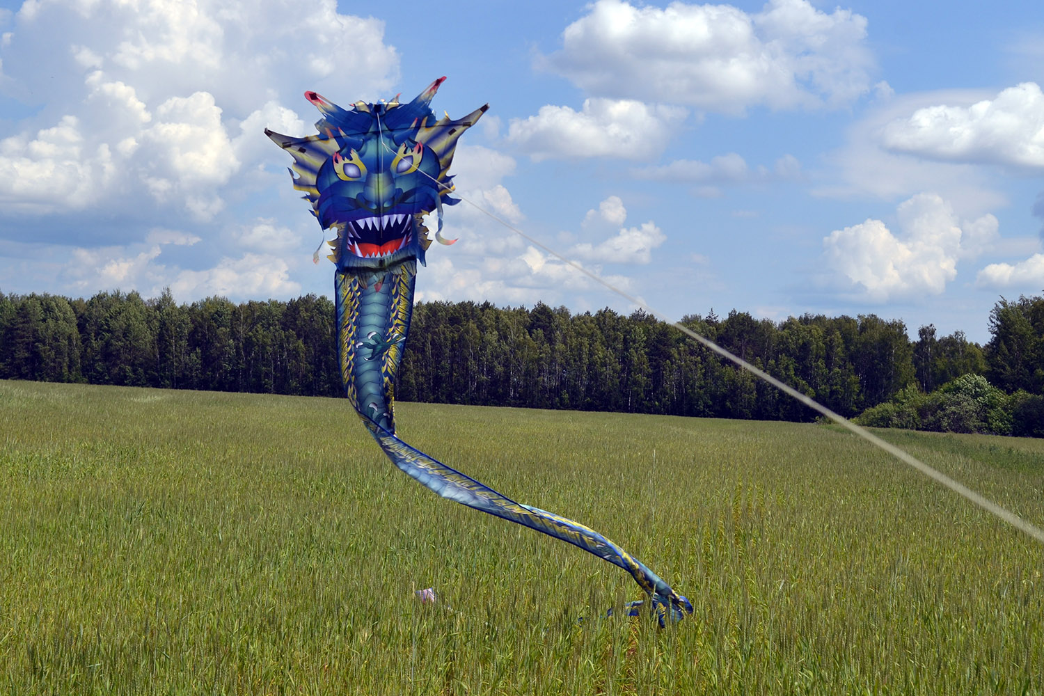 Изумрудный дракон изображение 3