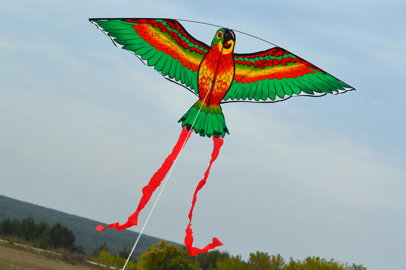 Попугай Розелла зеленый изображение 3