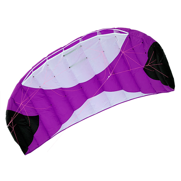 Risty 1.2 фиолетовый