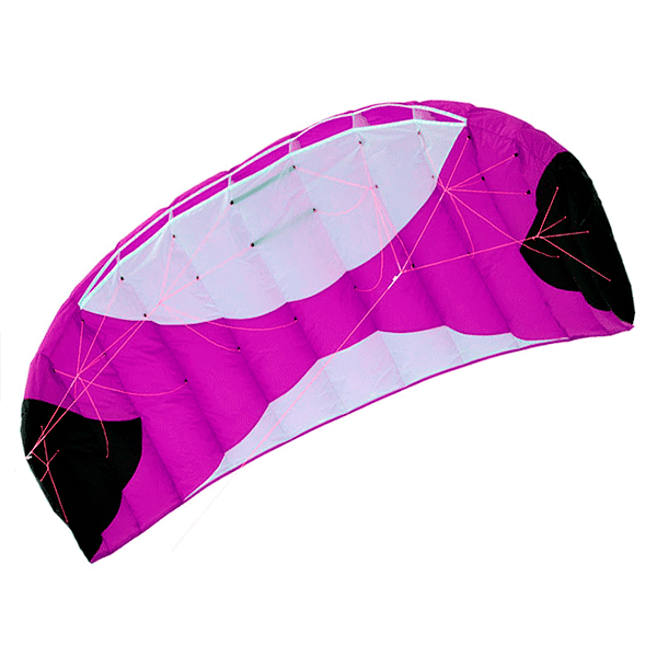 Risty 2.4 фиолетовый