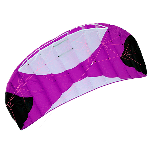 Risty 2.8 фиолетовый