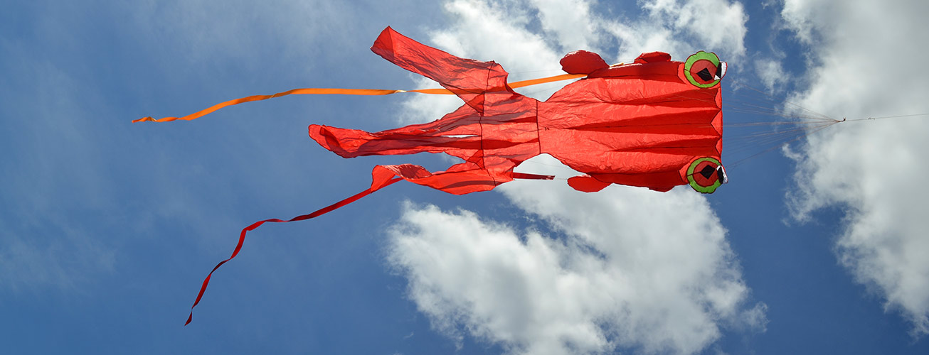 Лента Kite Ribbon для воздушного змея