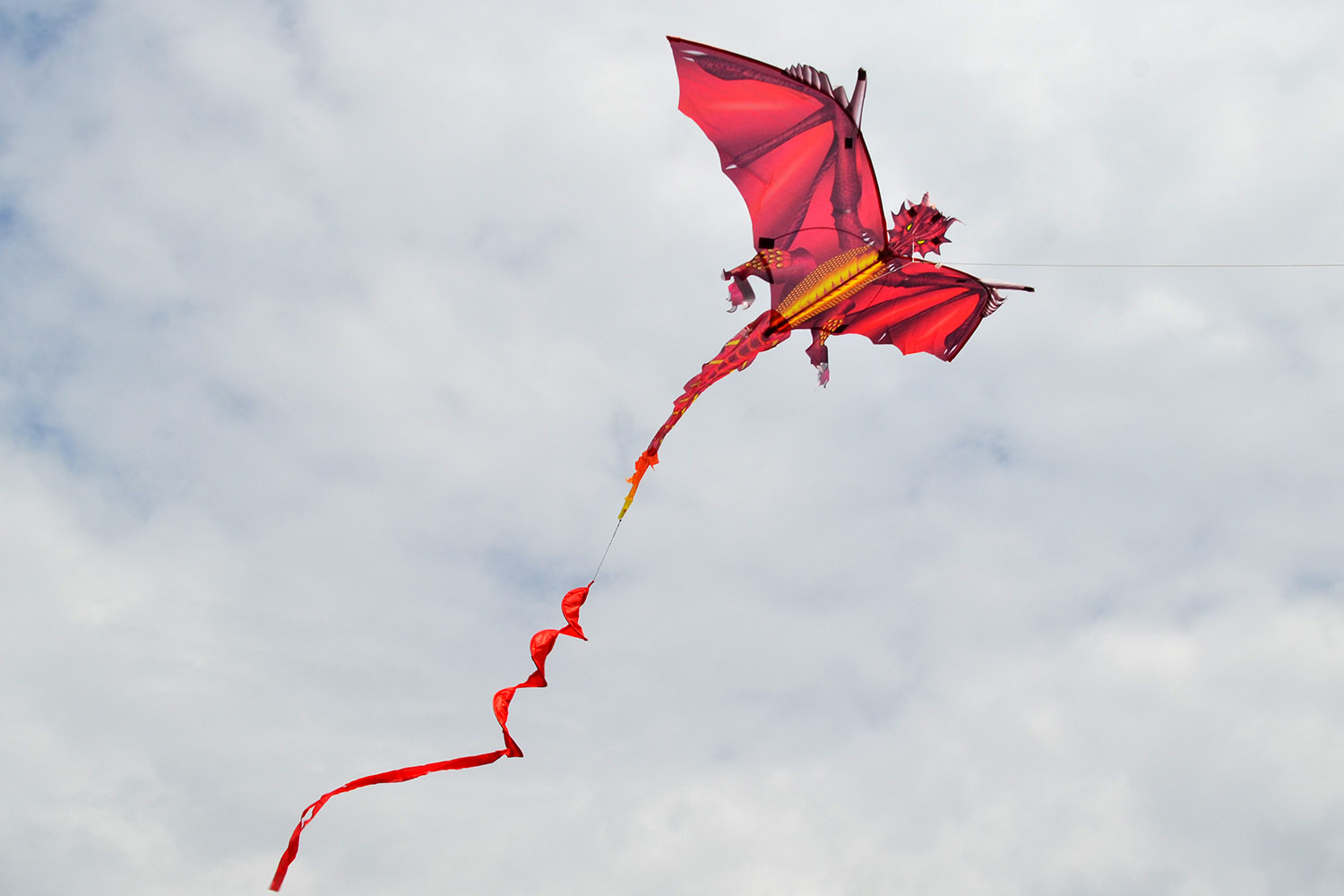 Огненный дракон, воздушный змей от ФКайт