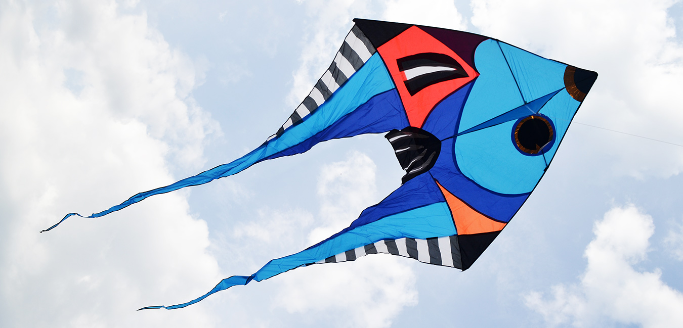 Змей воздушный Фронтоза синяя