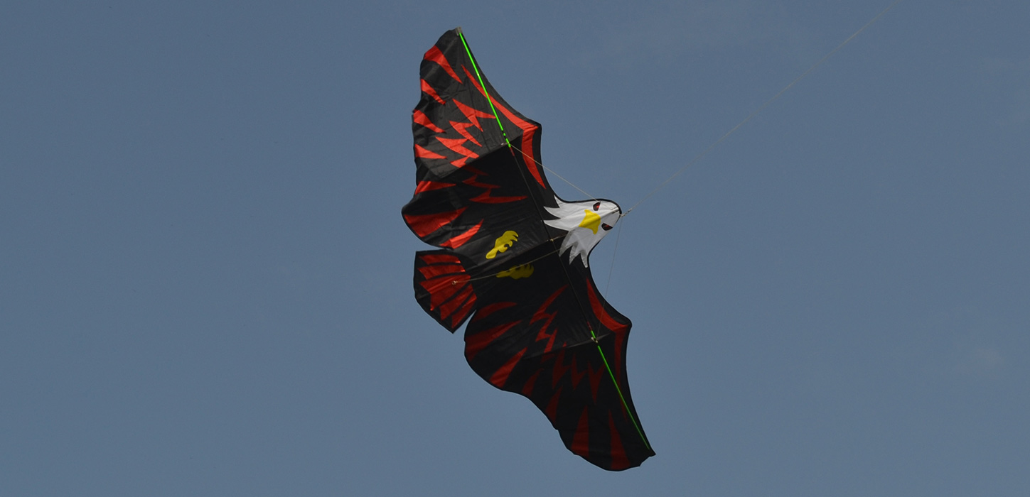 Имперский Орел, воздушный змей от ФКайт