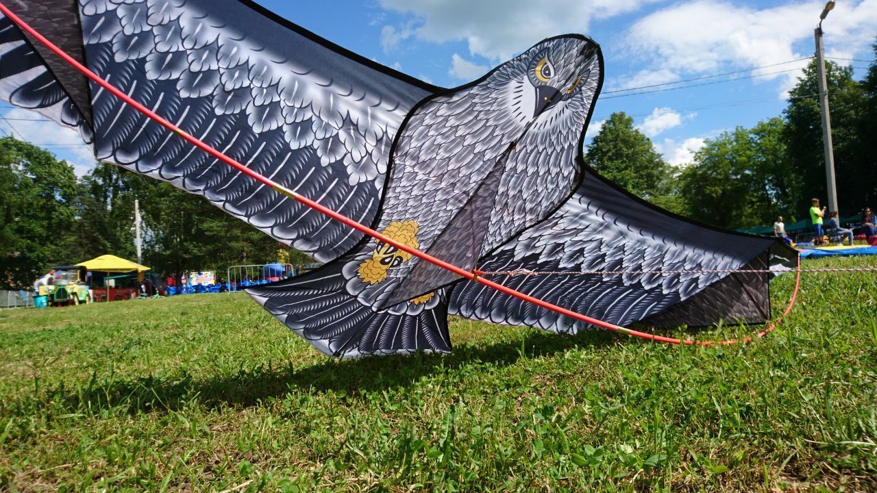Змей воздушный Huge Falcon огромный сокол
