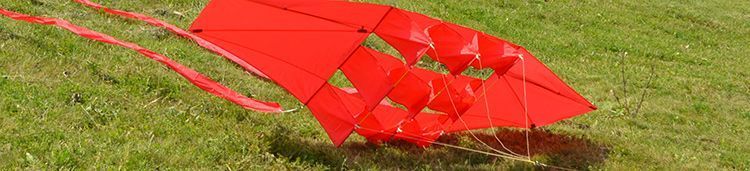 Красный Варяг - воздушный змей, изображение три