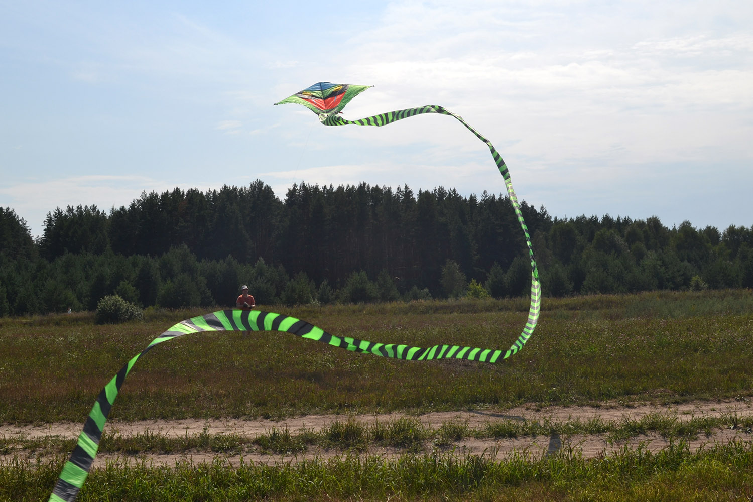 Зеленая кобра 45 метров, воздушный змей