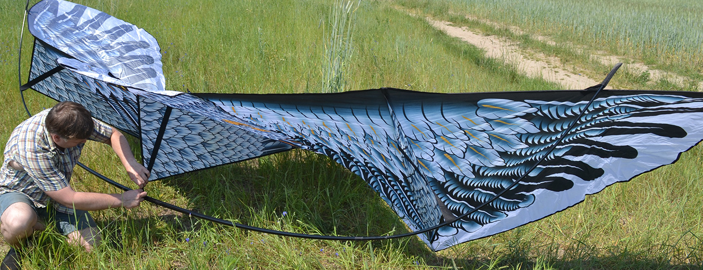 Гигантский Кондор, воздушный змей от ФКайт