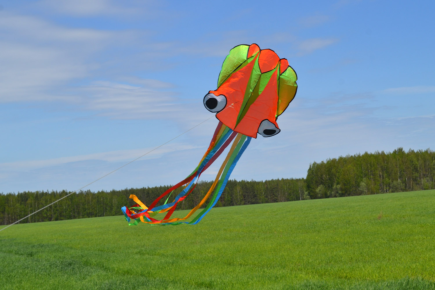 Радужный Осьминог, бескаркасный воздушный змей от ФКайт