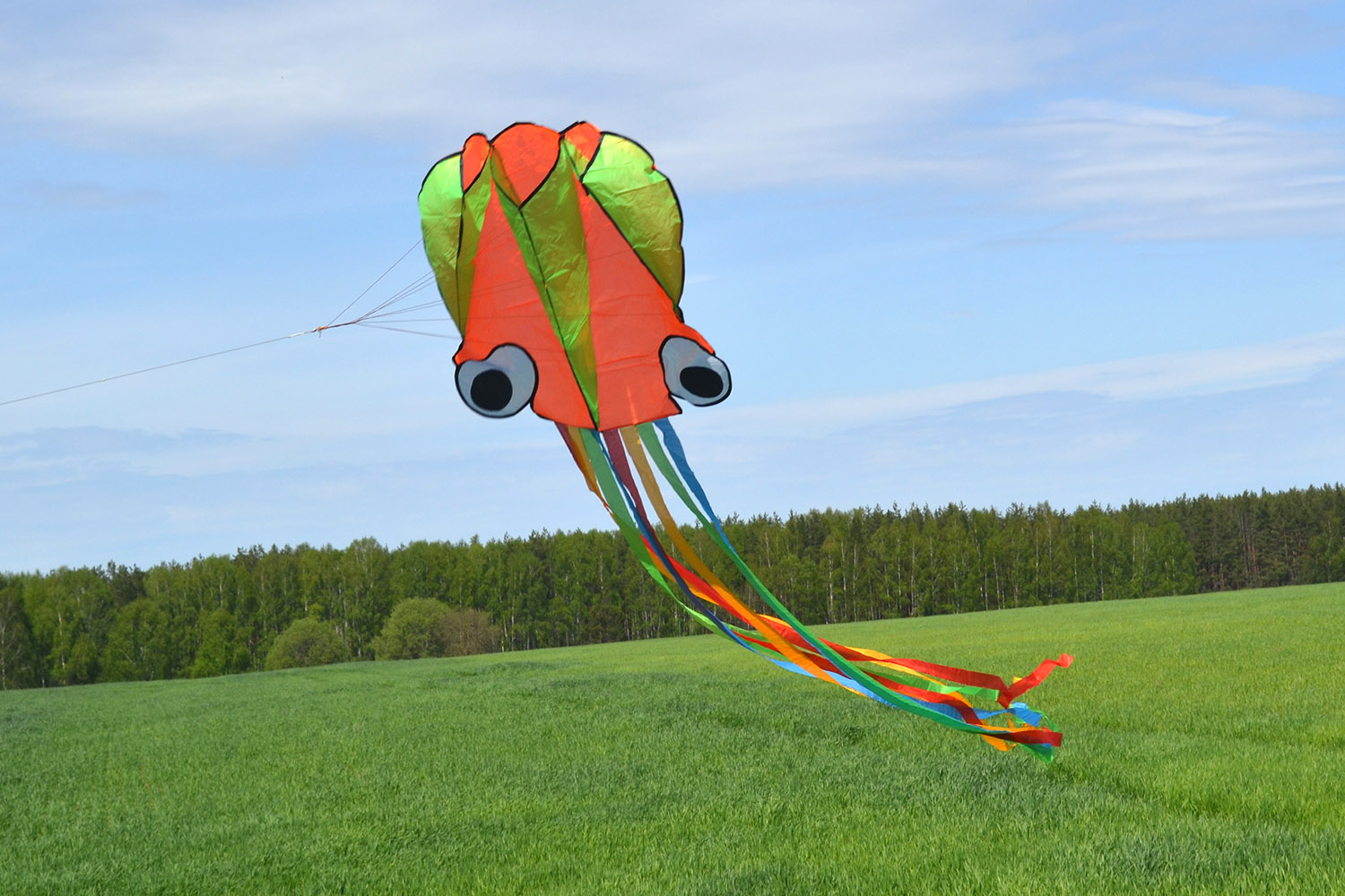 Радужный Осьминог, бескаркасный воздушный змей от ФКайт