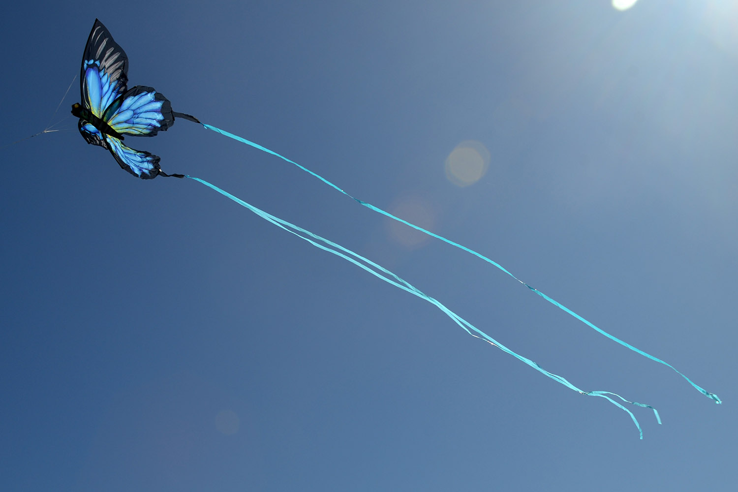 Синяя Пелеида, воздушный змей от ФКайт