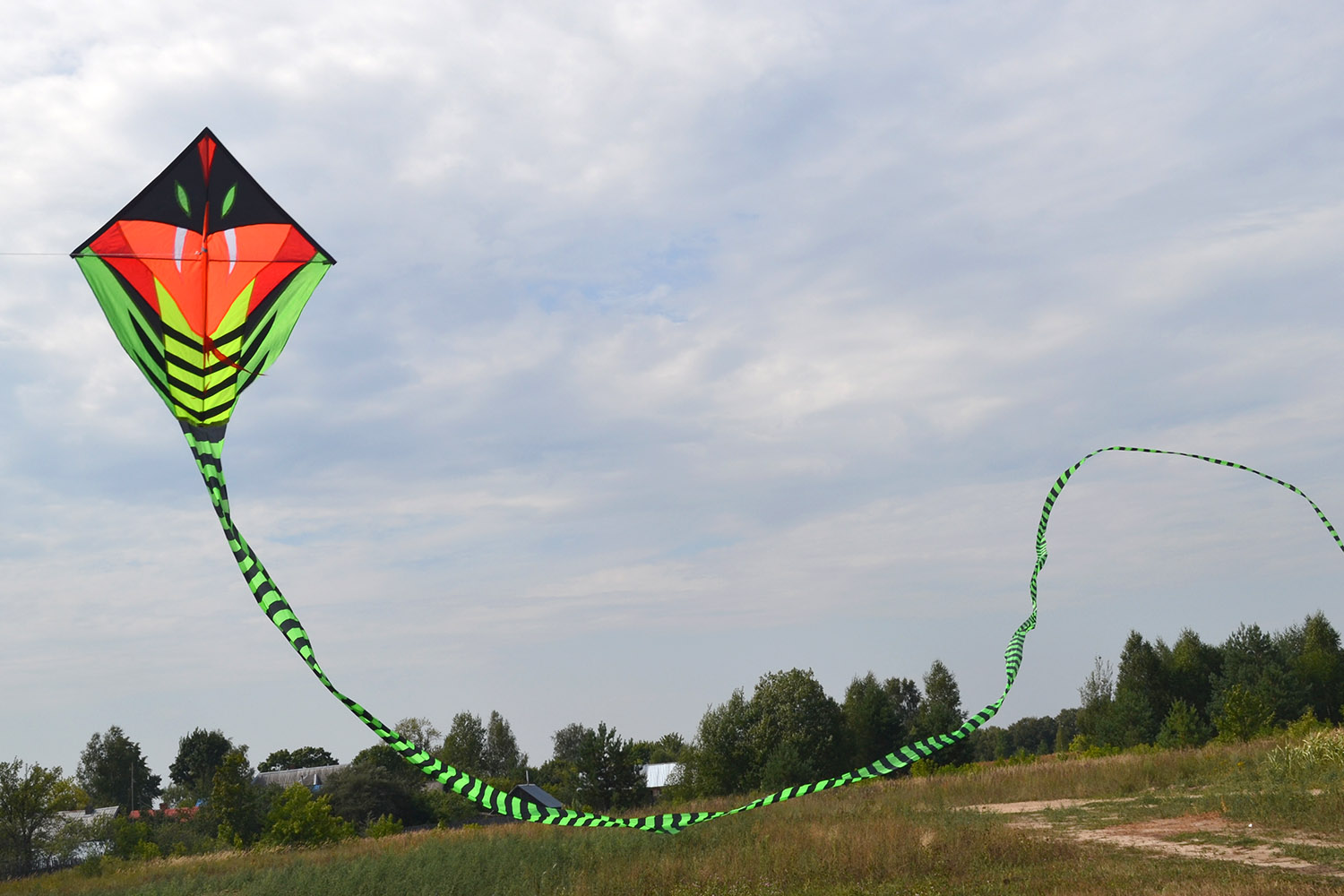 Зеленый питон 15 метров, воздушный змей от ФКайт