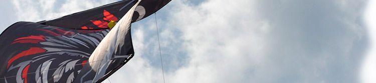 Великий Чингачкук воздушный змей роккаку, изображение три