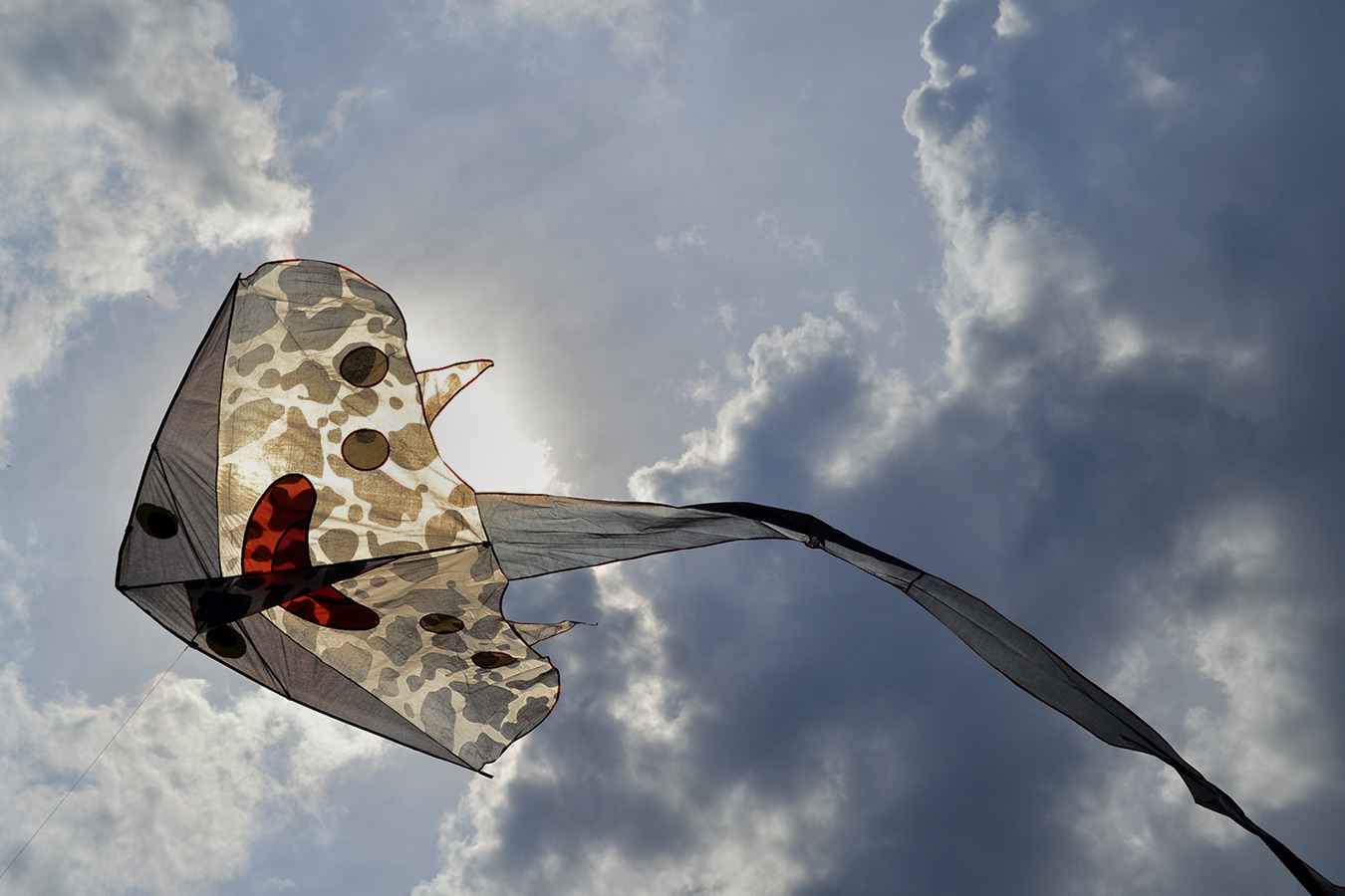Летающий Скат, воздушный змей 5 метров.
