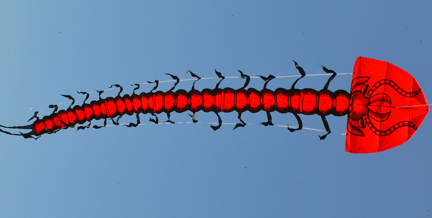 Гигантская Сколопендра, воздушный змей от ФКайт