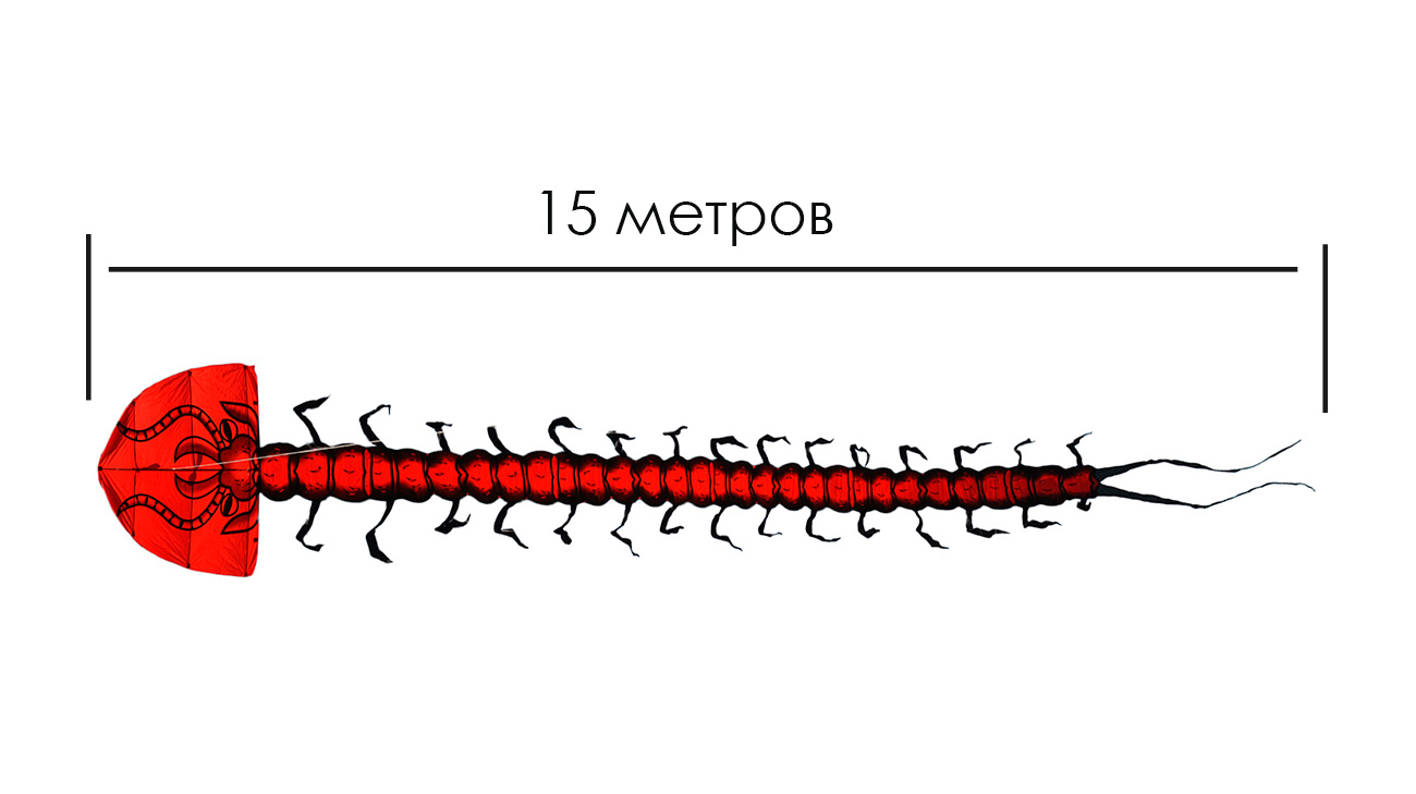 Гигантская Сколопендра, воздушный змей от ФКайт