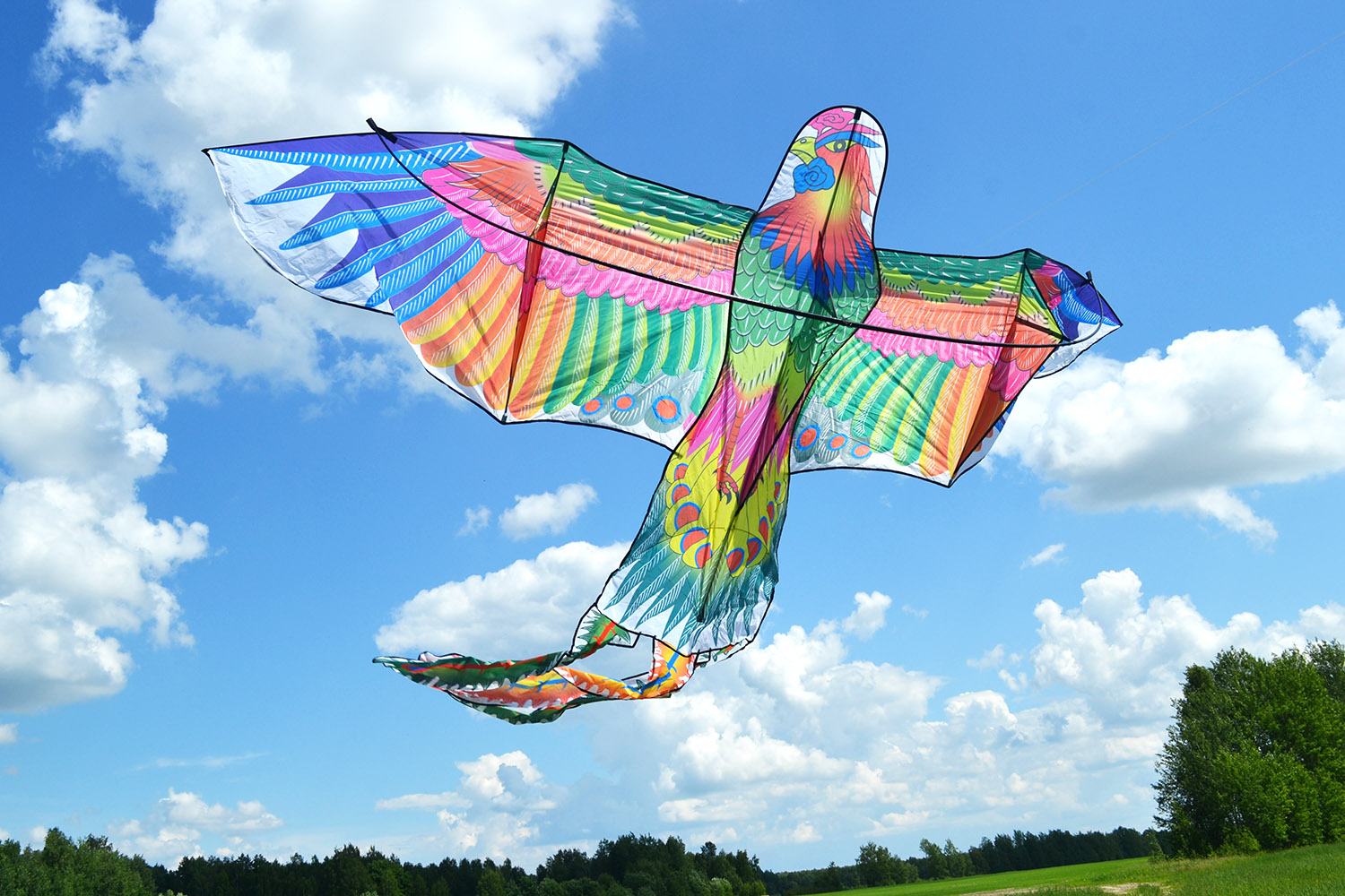 Гигантская Жар птица, воздушный змей от ФКайт