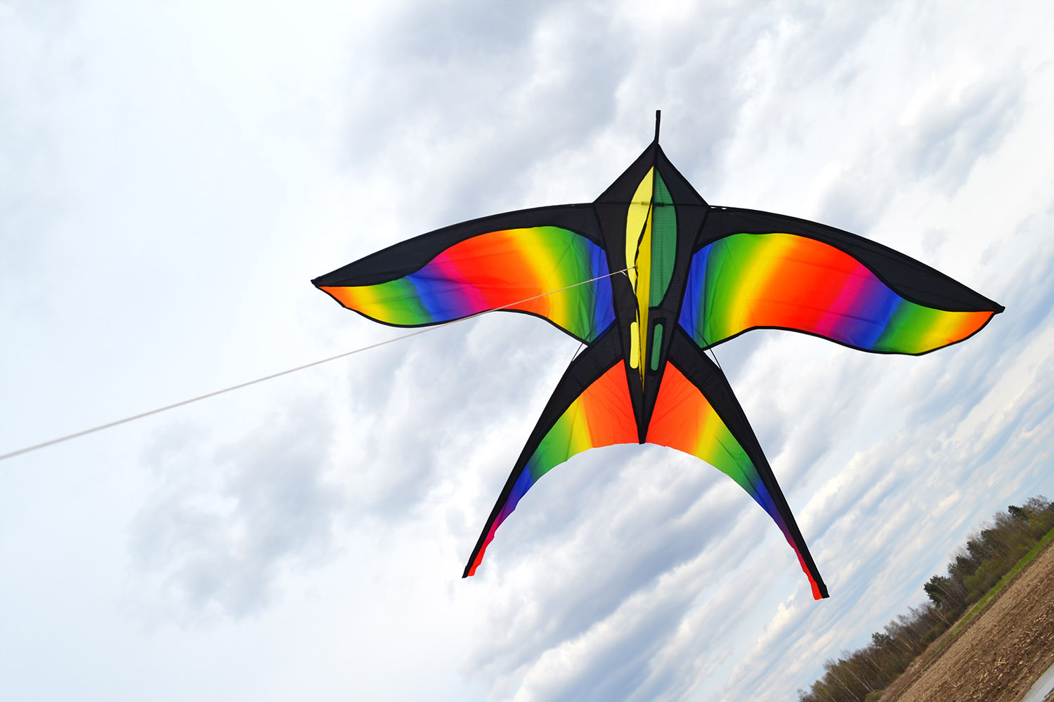 Цветная Ласточка - воздушный змей, изображение три