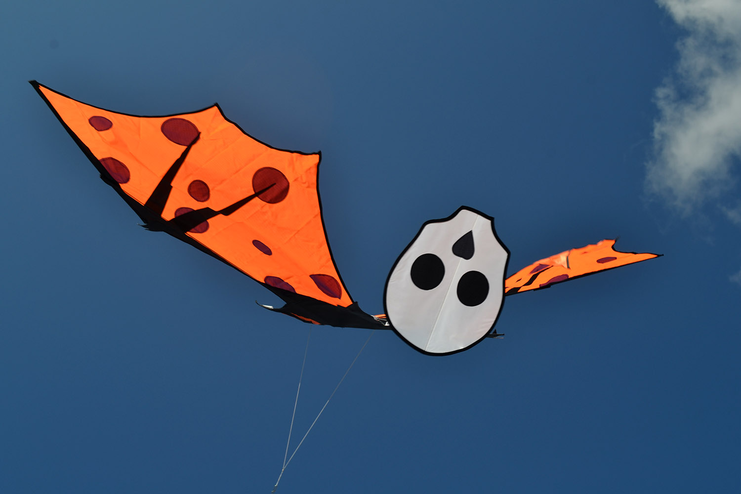 Змей воздушный  Оранжевый крылан с лентами от ФКайт